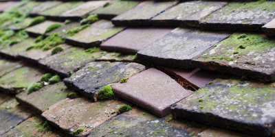 Malvern Wells roof repair costs